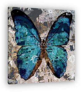 Grunge butterfly (vászonkép)