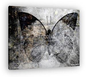 Butterfly (vászonkép)