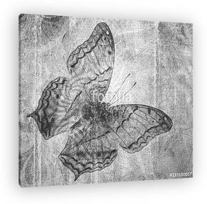 Grunge butterfly (vászonkép)
