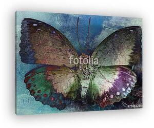 Butterfly (vászonkép)
