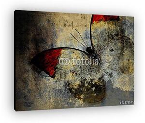 Butterfly (vászonkép)