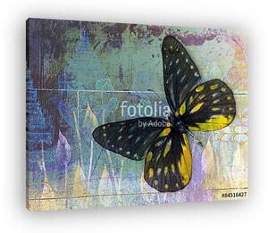 Butterfly( Thai background ) (vászonkép)
