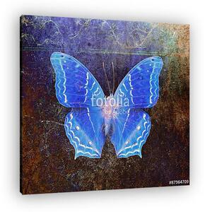 Butterfly (vászonkép)