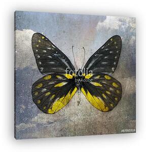 Butterfly (vászonkép)
