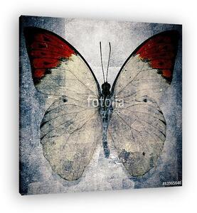 Butterfly (vászonkép)