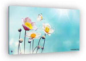 Colorful floral spring background. White and pink anemones flowe (vászonkép)