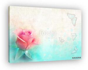 Pink rose and butterflies in front of a background of vintage ol (vászonkép)