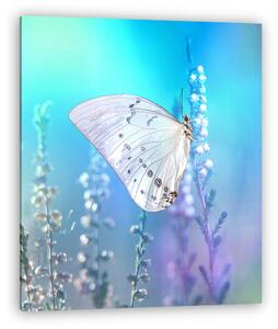 Beautiful white butterfly on white flower buds on a soft blurred (vászonkép)