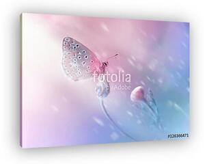 Beautiful delicate elegant butterfly on a flower with a soft foc (vászonkép)