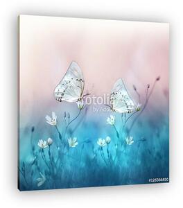 Two beautiful white butterfly on small white flowers on blurred (vászonkép)
