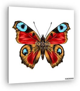 Butterfly with open wings top view, the symmetrical drawing, gra (vászonkép)