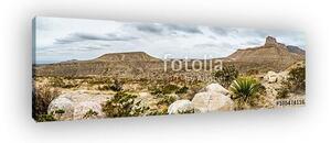 Guadalupe Mountains Texas (vászonkép)