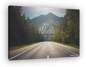 Country road (vászonkép)