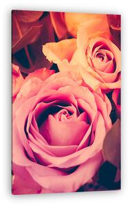 Fresh pink roses macro shot, summer flowers, vintage style (vászonkép)