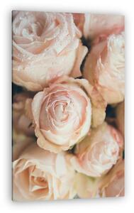Beautiful fresh beige roses background (vászonkép)