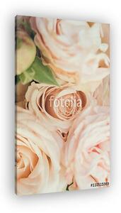 Beautiful fresh beige roses background (vászonkép)