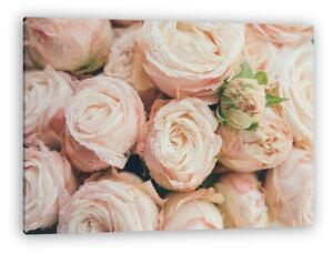 Beautiful fresh beige roses background (vászonkép)