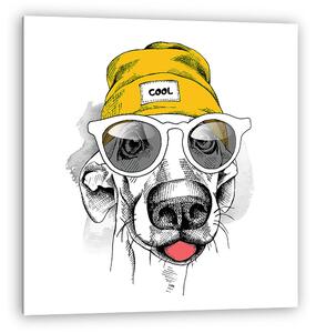 Portrait of dog in a yellow Hipster hat and with glasses. Vector (vászonkép)