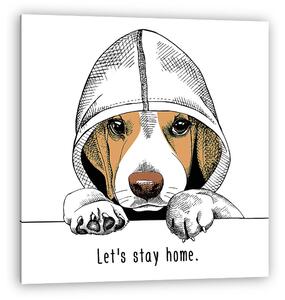 The image of the dog Beagle in the hood. Vector illustration. (vászonkép)