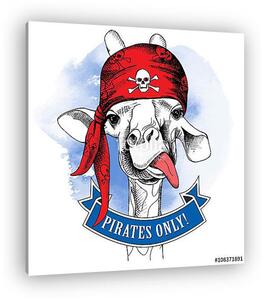 The portrait of a giraffe wearing a pirate's bandana with the im (vászonkép)