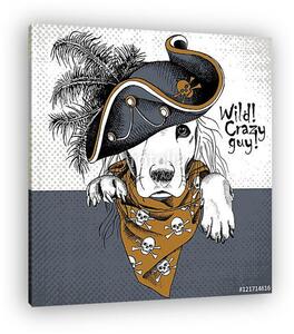 Poster with portrait of a dog wearing gray pirate hat and brown (vászonkép)