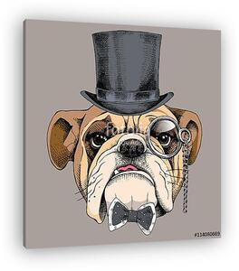 Bulldog portrait in a bowler hat, with a tie and with a monocle. (vászonkép)