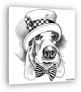 The image with the portrait of a dog in the Hatter hat and with (vászonkép)