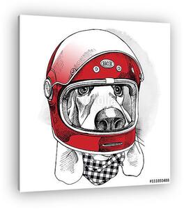 The image of the dog Racer in the modern helmet. Vector illustra (vászonkép)