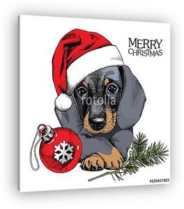 The christmas poster with the portrait of the dog Dachshund in t (vászonkép)