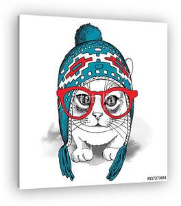 Portrait of a cat in blue winter hat with ear flaps and glasses. (vászonkép)