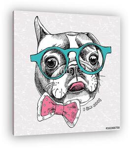 Portrait of a French Bulldog with glasses and tie. Vector illust (vászonkép)