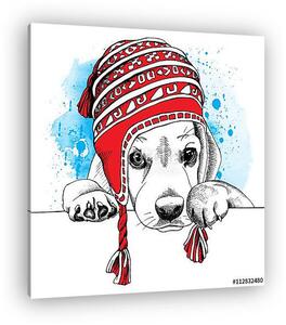 The poster with the image of the dog Beagle in the Chullo long k (vászonkép)