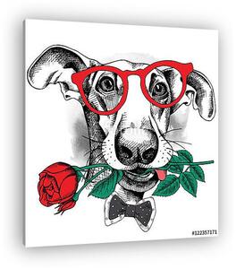 Portrait of a funny dog in glasses and tie with red rose. Vector (vászonkép)