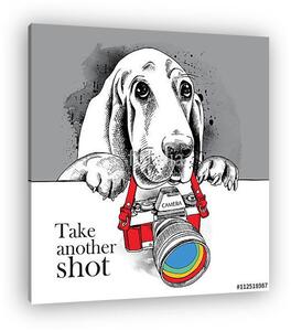 The poster with the image of the dog with the camera. Vector ill (vászonkép)