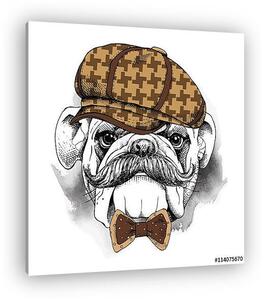 The poster with the image of the dog Bulldog with a mustache in (vászonkép)