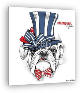 The image of the dog Bulldog in the steampunk top hat and with b (vászonkép)