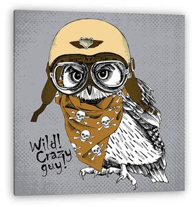 Poster with portrait of owl wearing a retro motorcyclist helmet (vászonkép)