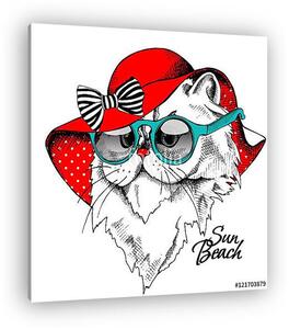 Portrait of Himalayan cat in a red Summer Sun Hat with glasses. (vászonkép)