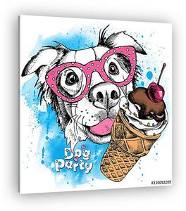 Image Portrait of a dog Australian shepherd wearing the glasses (vászonkép)