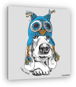 The poster with the image of the dog Basset Hound in the Owl chu (vászonkép)