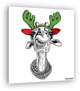 Giraffe portrait in a antler with knitted scarf. Vector illustra (vászonkép)