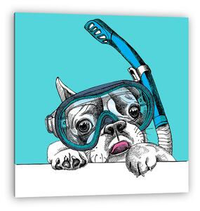 Portrait of a French Bulldog in diving mask with tube on blue ba (vászonkép)