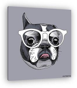 French Bulldog portrait in a glasses. Vector illustration. (vászonkép)