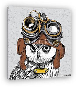 Owl portrait in a Steampunk helmet. Vector illustration. (vászonkép)