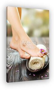 Feet Spa (vászonkép)
