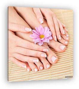Care for beautiful woman legs (vászonkép)