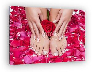 Beautiful woman's hands and legs with red rose petals (vászonkép)