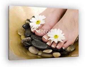 Foot spa (vászonkép)