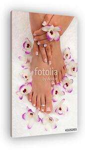 Pedicure (vászonkép)