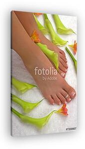 Spa Treatment (vászonkép)